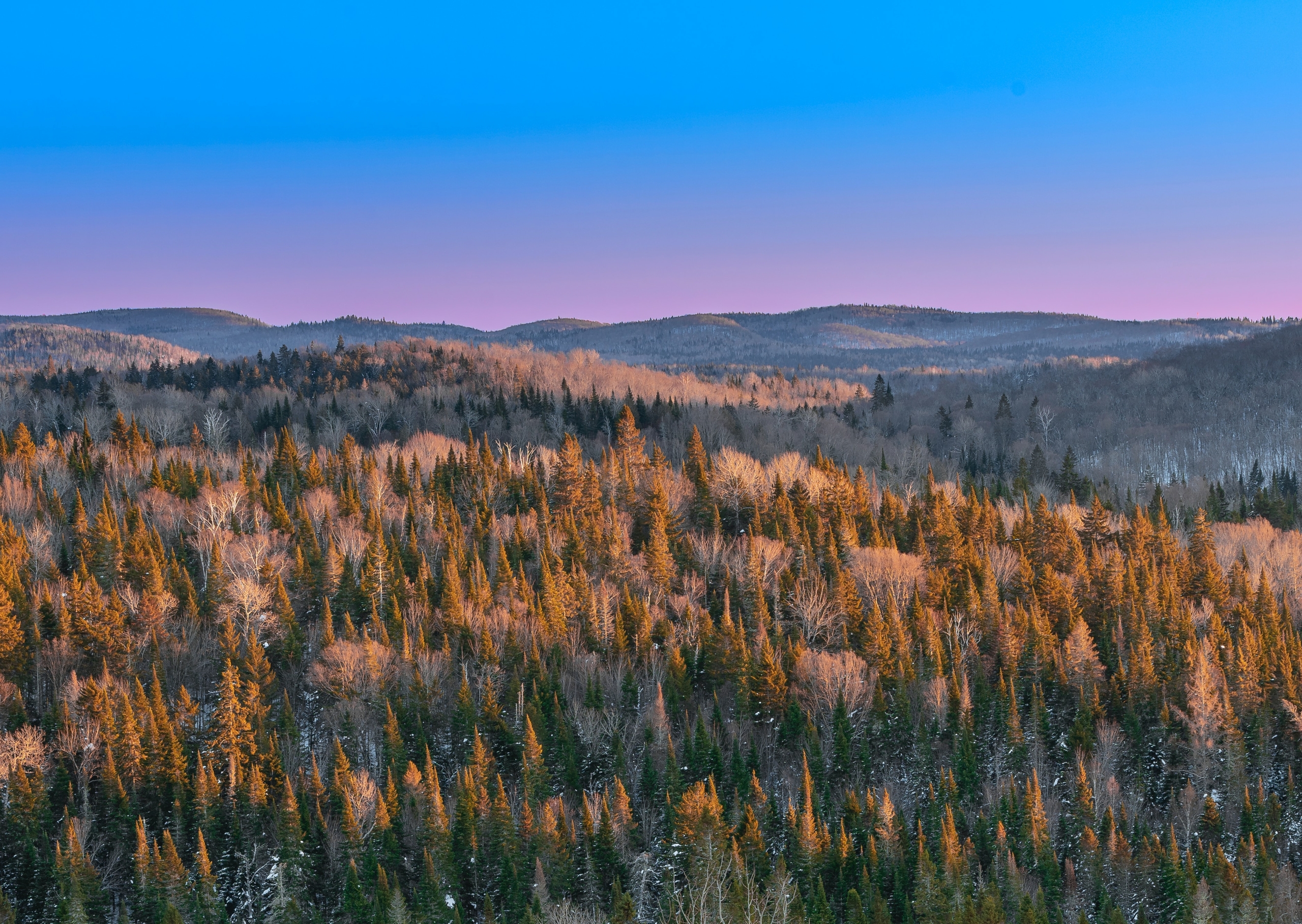 meng-ji-TisPlxbFvxM-unsplash Crédit : Bob August / CC BY-NC-SA 2.0