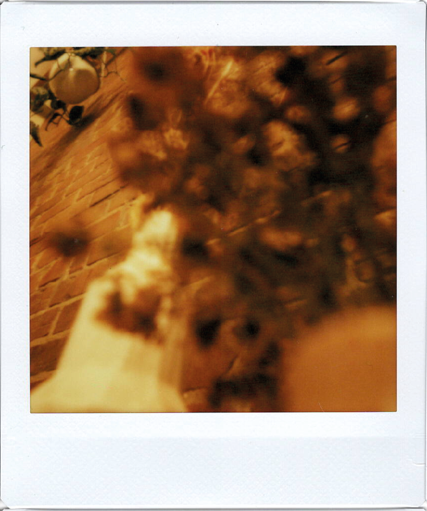 Parcours médias_5 Parcours médias instax